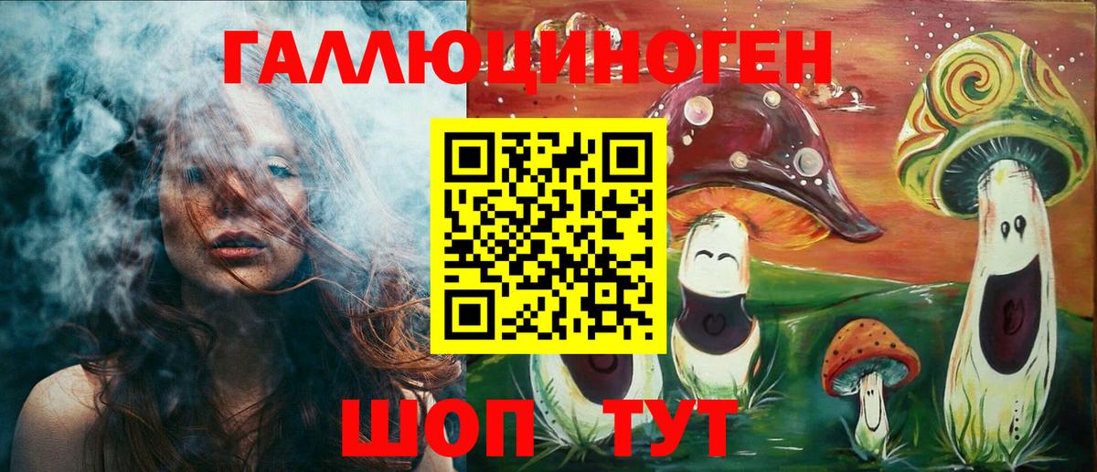 Галлюциногенные грибы Psilocybe Красноярск
