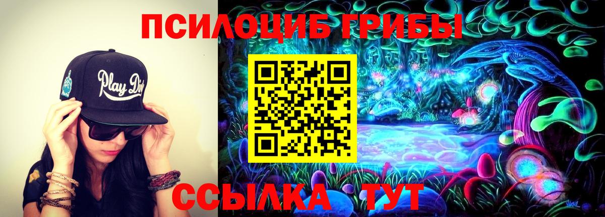 Красноярск  Галлюциногенные грибы Psilocybine cubensis  Вход с VPN 